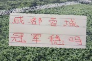半程下来！北京国安距离领头羊22分 申花是24分 卫冕冠军是25 分|上海申花|成都|保级|上海海港|蓉城_新浪体育_新浪新闻